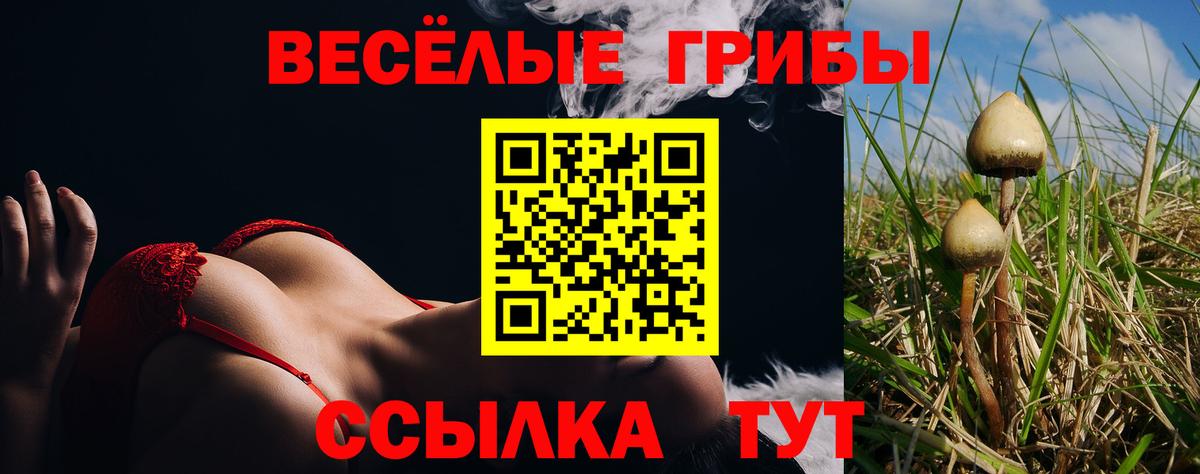 Псилоцибиновые грибы Magic Shrooms  Вход с VPN  Йошкар-Ола 